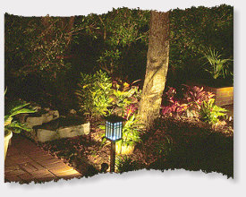 Landscape lighting Northwest Arkansas.