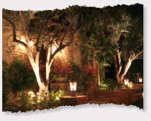 Landscape lighting Rogers Arkansas.